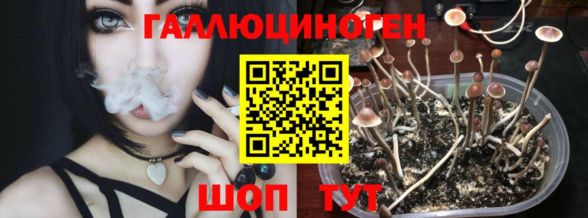 Псилоцибиновые грибы мицелий  Вход с VPN  Чехов 
